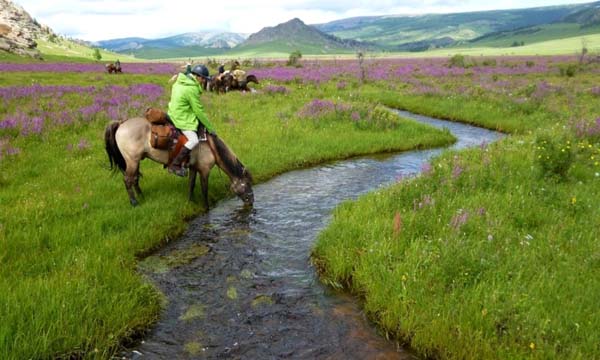stone horse expeditions horse treks